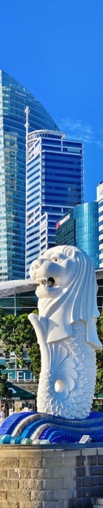 The smallest park in Singapore, with the Merlion and Marina Bay lit up at night